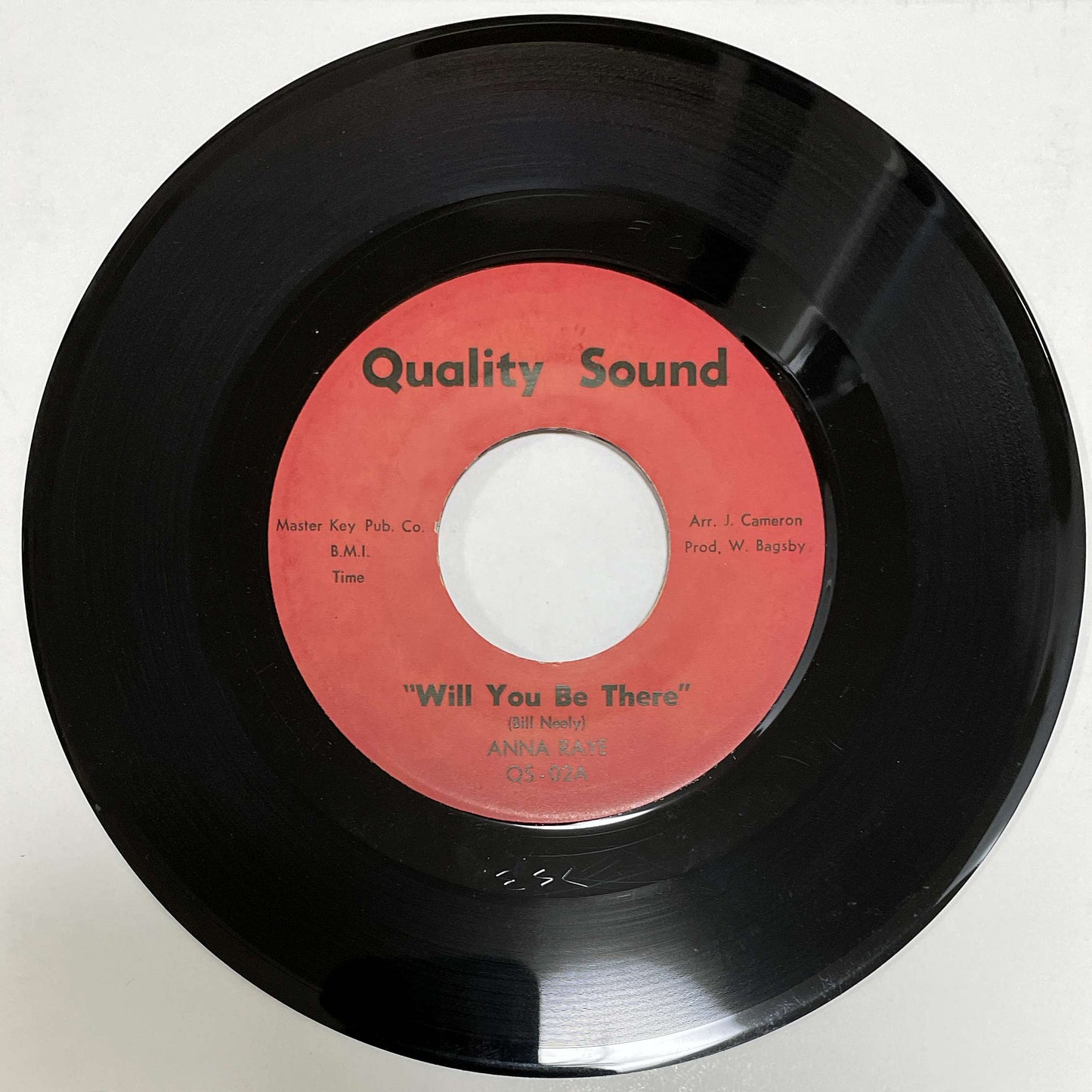 Anna Raye – Will You Love My Child / Will You Be There ( Quality Sound Records ) 45