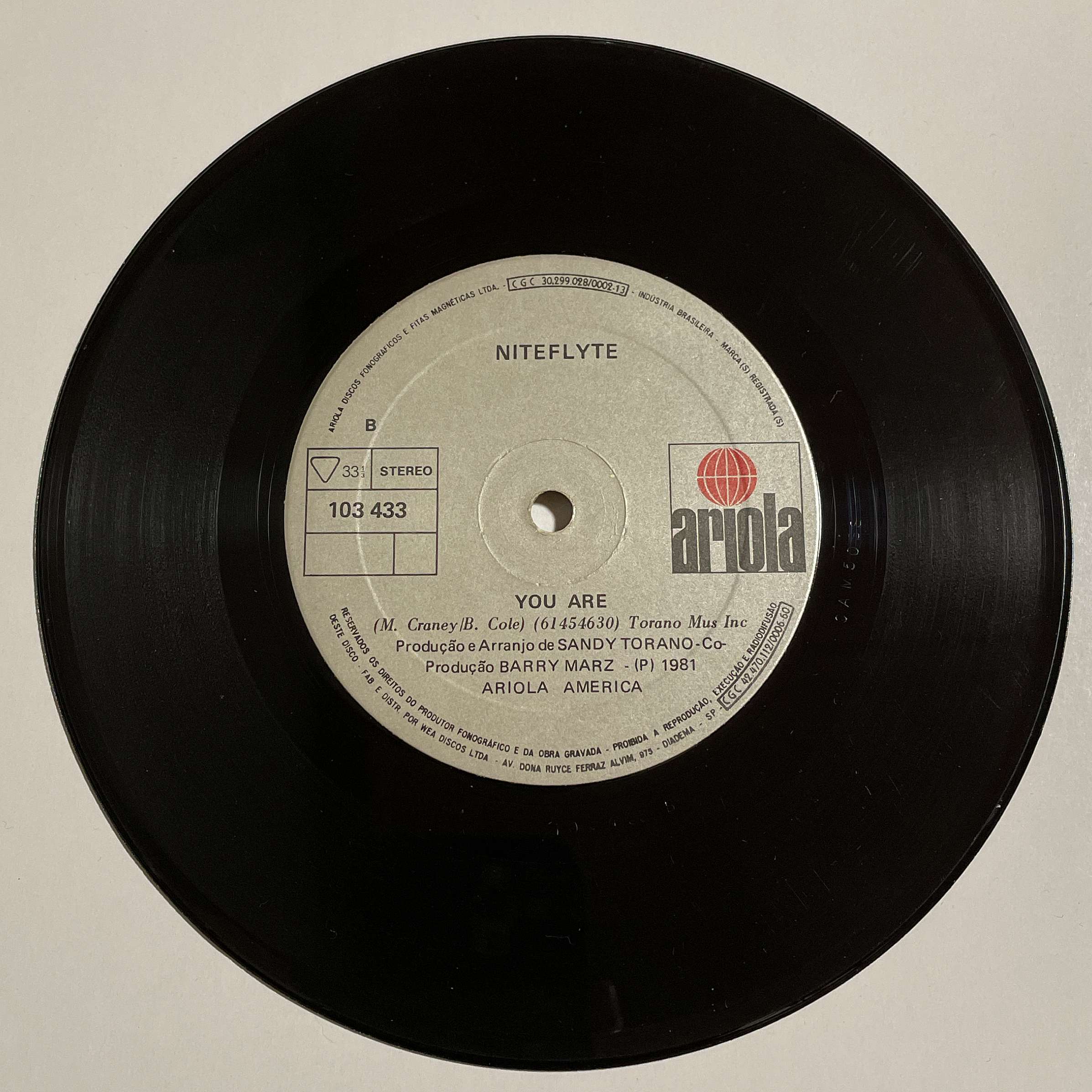 Niteflyte ‎– You're Breaking My Heart / You Are ( Ariola / Brazil )