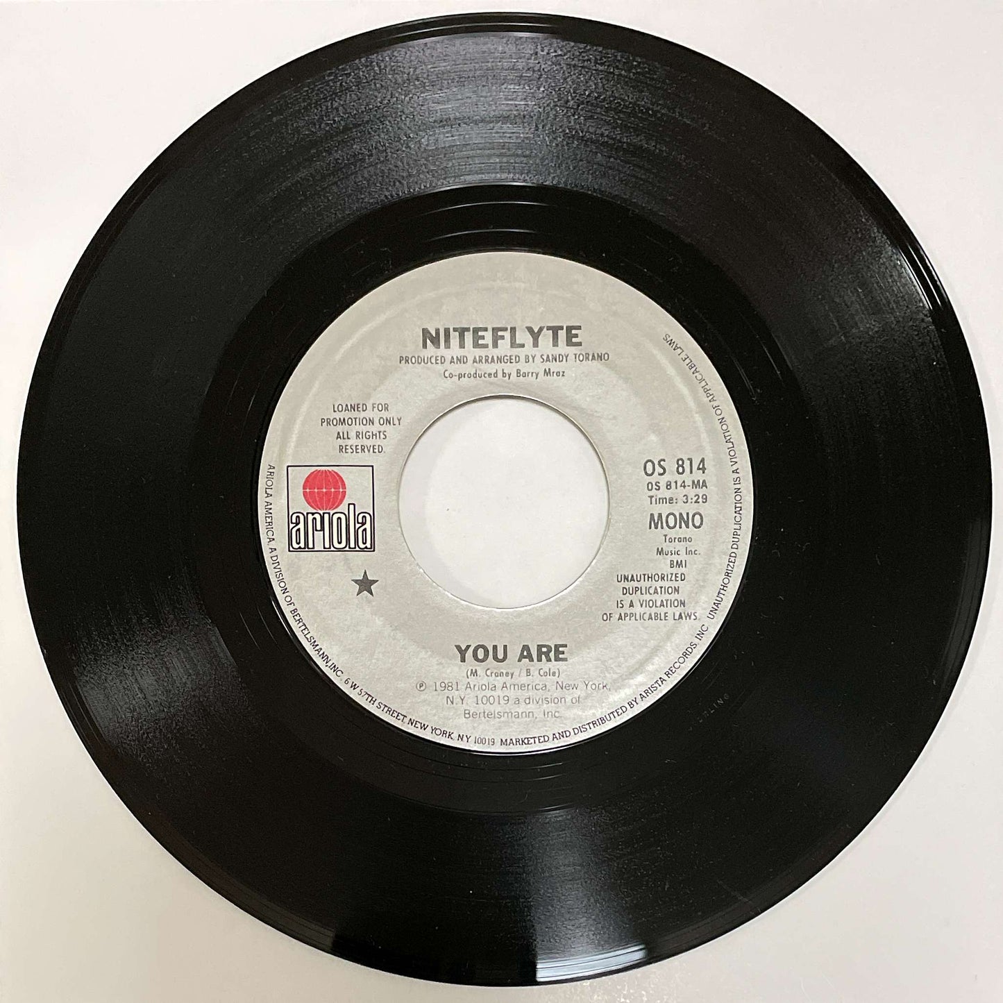 Niteflyte – You Are ( Ariola ) 45