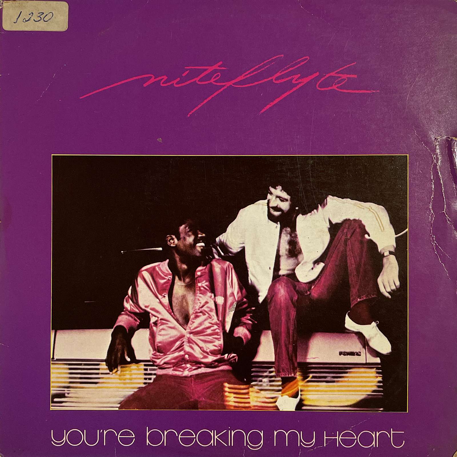 Niteflyte ‎– You're Breaking My Heart / You Are ( Ariola / Brazil )